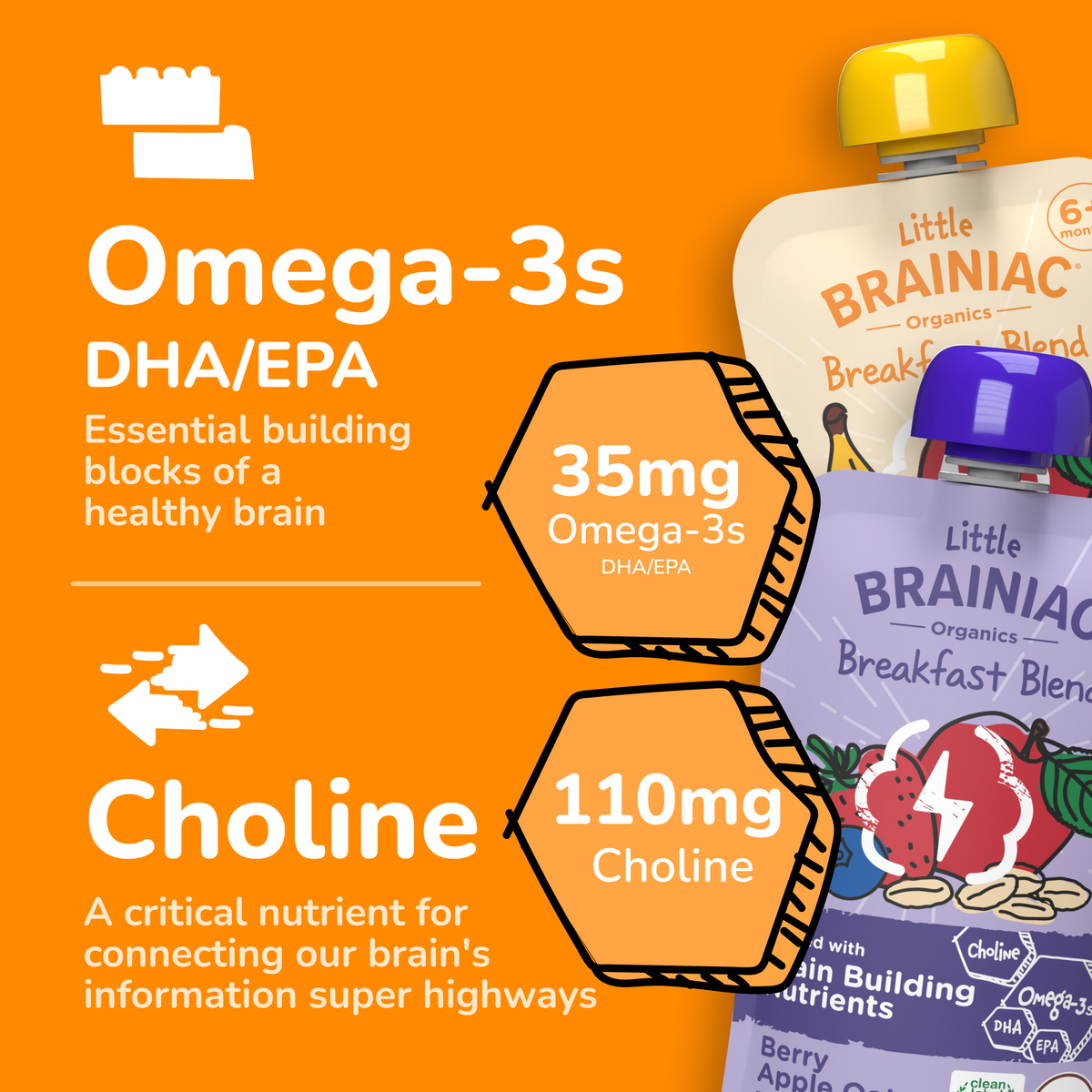 Organic Breakfast Blends Variety